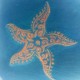 Group logo of Seattle PLD Team 2 -  Starfish Enterprise